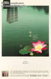 房地产年鉴广告设计 如何精选53张图片素材与代理合作要点